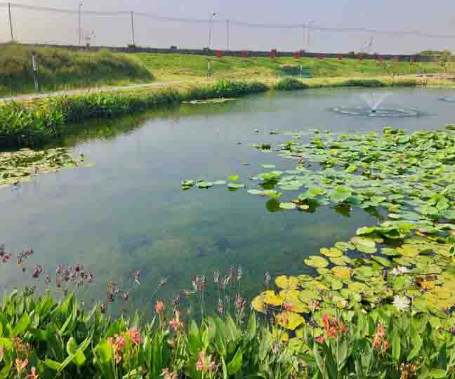 東莞市(shì)寮步鎮西(xī)南(nán)河等河湧補水(shuǐ)服務項目